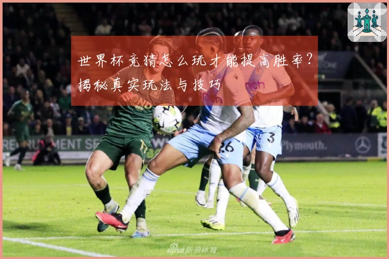 世界杯竞猜怎么玩才能提高胜率？揭秘真实玩法与技巧