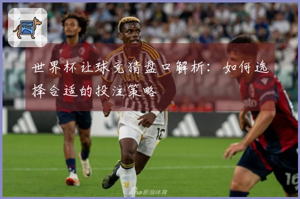 世界杯让球竞猜盘口解析：如何选择合适的投注策略