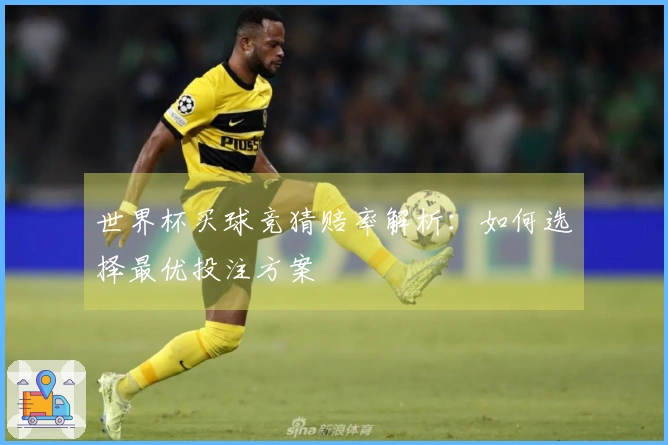 世界杯买球竞猜赔率解析：如何选择最优投注方案