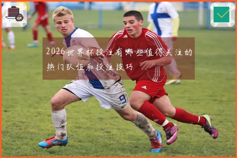 2026世界杯投注有哪些值得关注的热门队伍和投注技巧