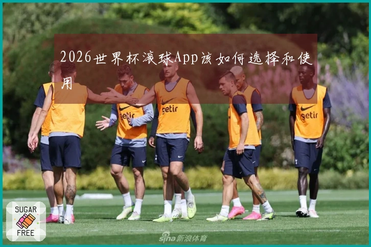 2026世界杯滚球App该如何选择和使用