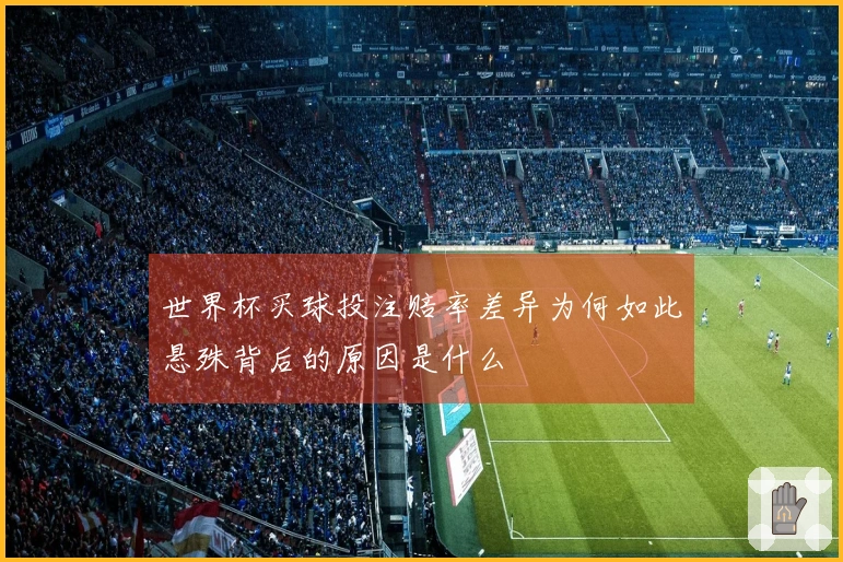 世界杯买球投注赔率差异为何如此悬殊背后的原因是什么