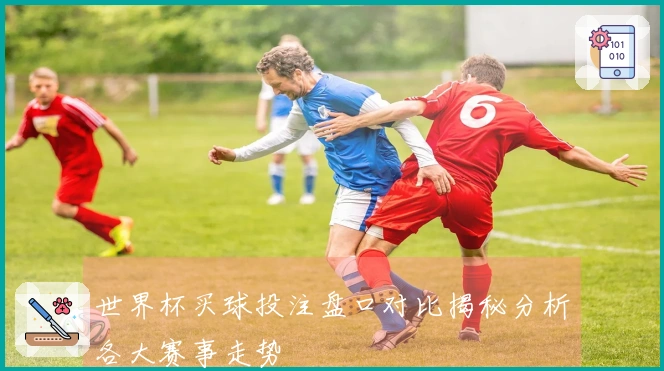世界杯买球投注盘口对比揭秘分析各大赛事走势