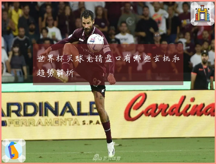 世界杯买球竞猜盘口有哪些玄机和趋势解析