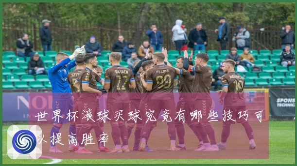 世界杯滚球买球究竟有哪些技巧可以提高胜率