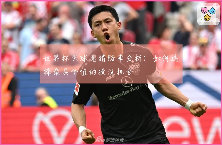 世界杯买球竞猜赔率分析：如何选择最具价值的投注机会